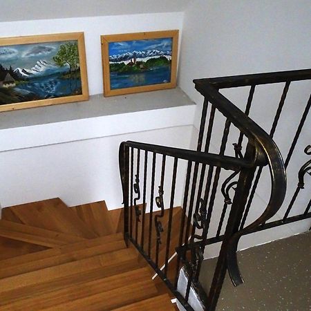 Apartmaji Pri Marodnu ボーヒニ エクステリア 写真