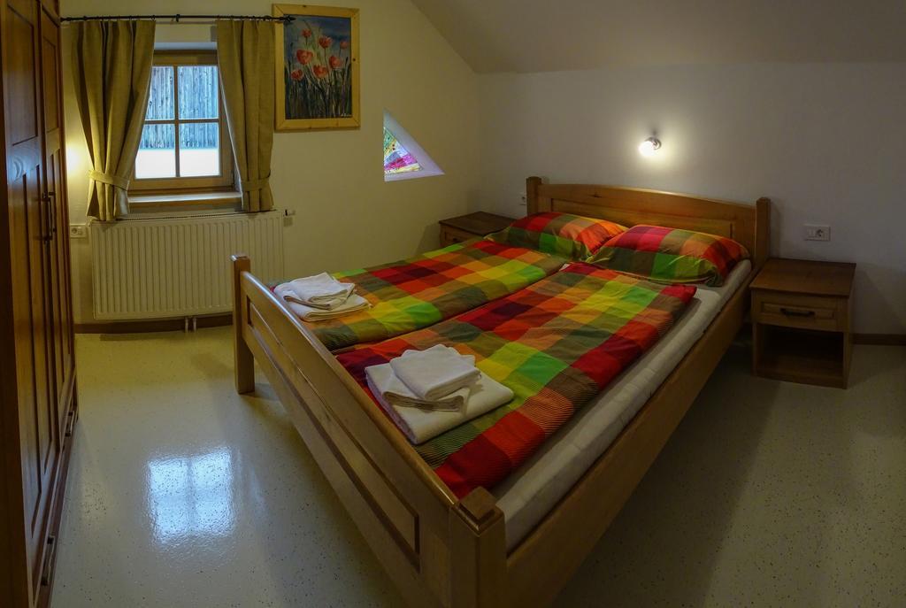 Apartmaji Pri Marodnu ボーヒニ エクステリア 写真