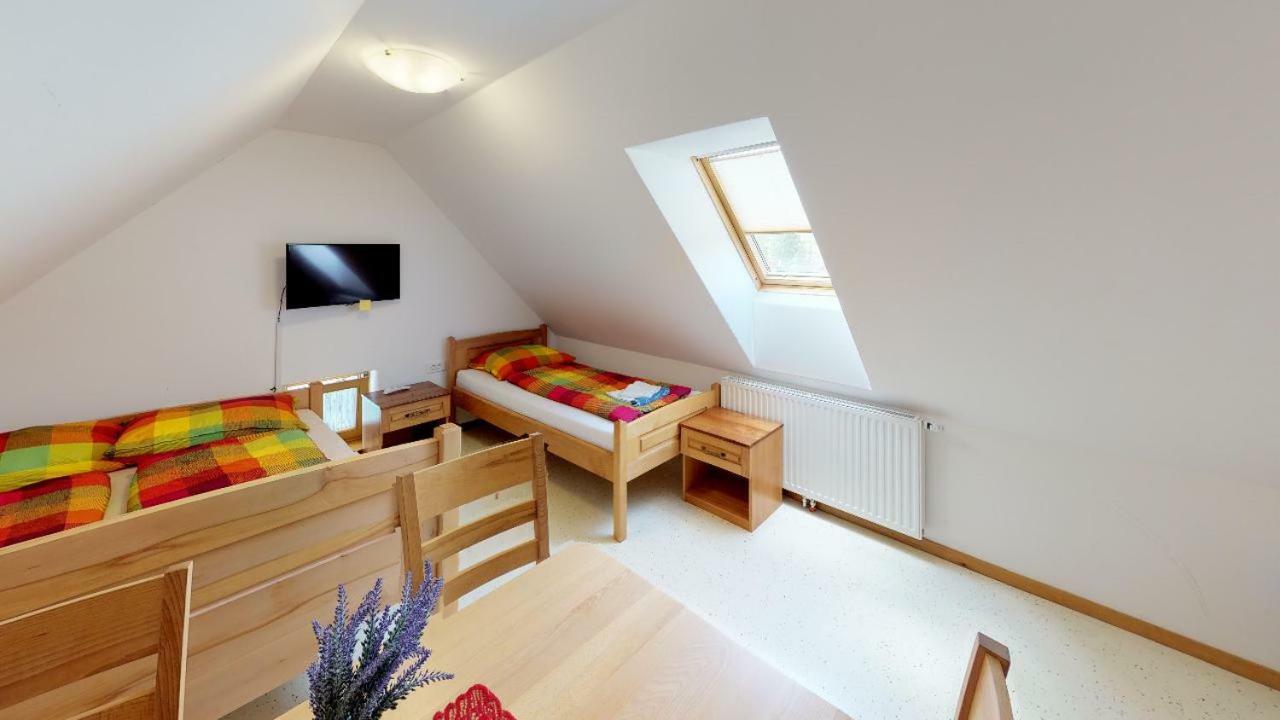 Apartmaji Pri Marodnu ボーヒニ エクステリア 写真