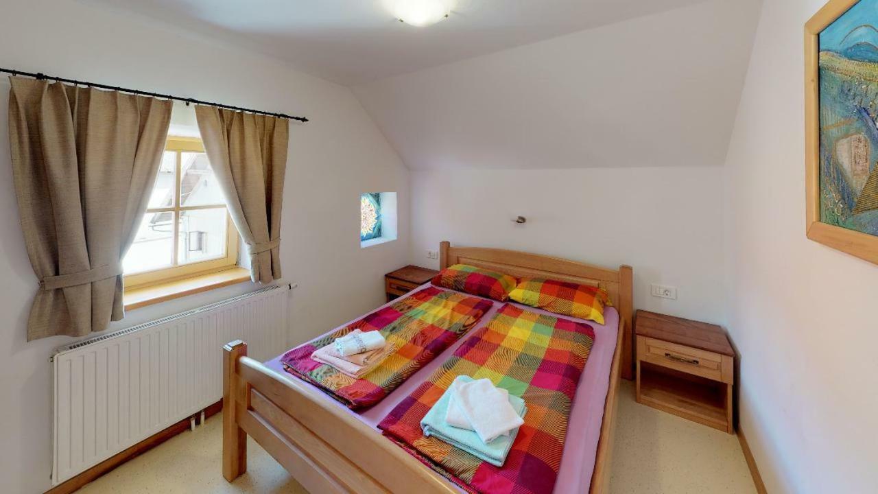 Apartmaji Pri Marodnu ボーヒニ エクステリア 写真