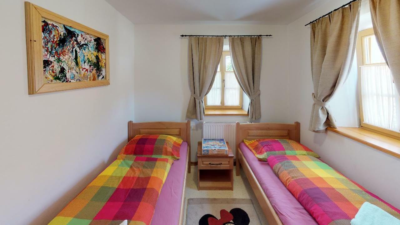 Apartmaji Pri Marodnu ボーヒニ エクステリア 写真