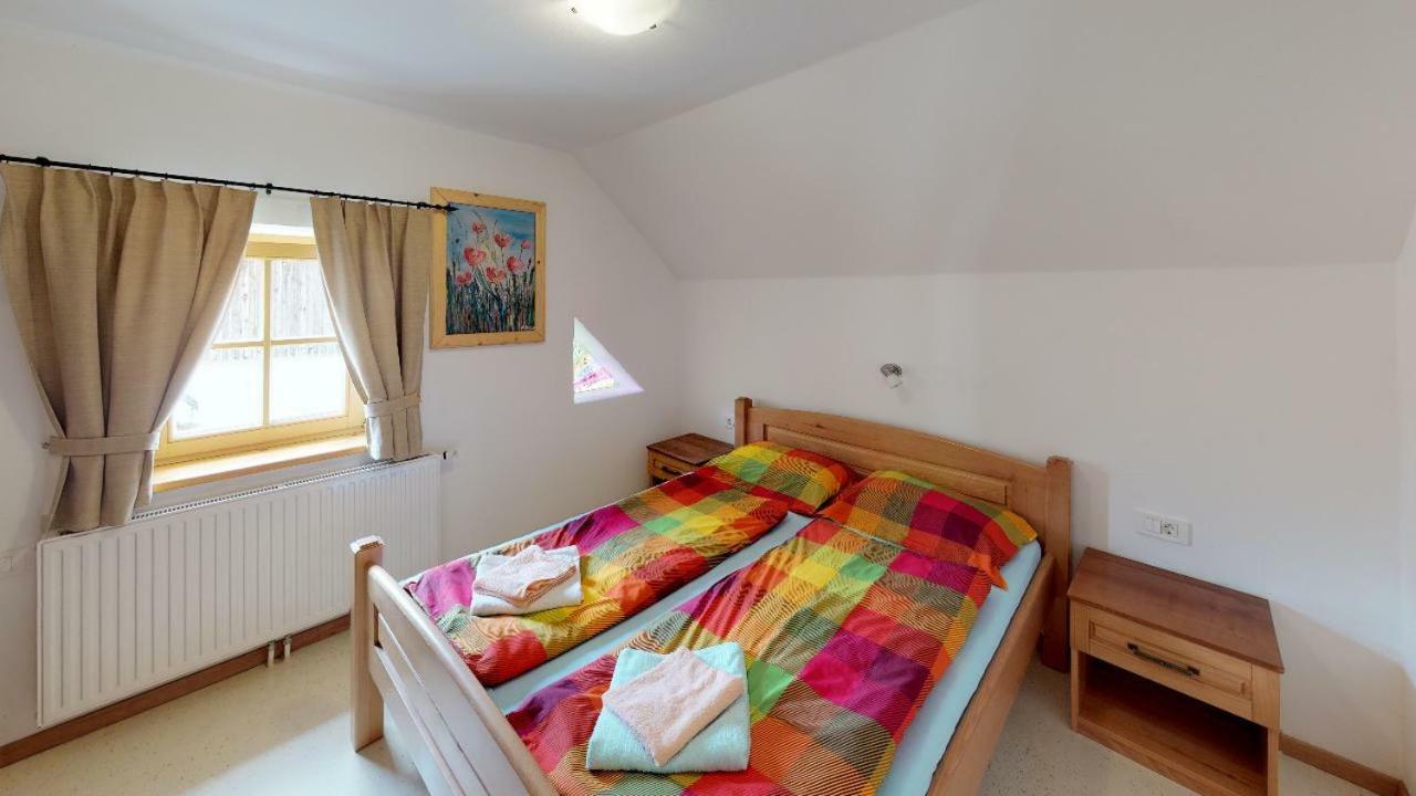 Apartmaji Pri Marodnu ボーヒニ エクステリア 写真