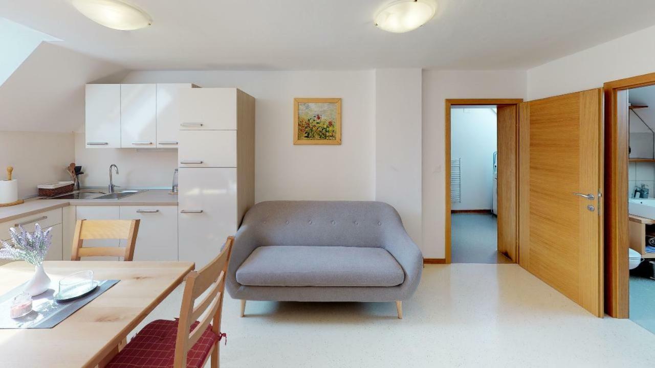 Apartmaji Pri Marodnu ボーヒニ エクステリア 写真